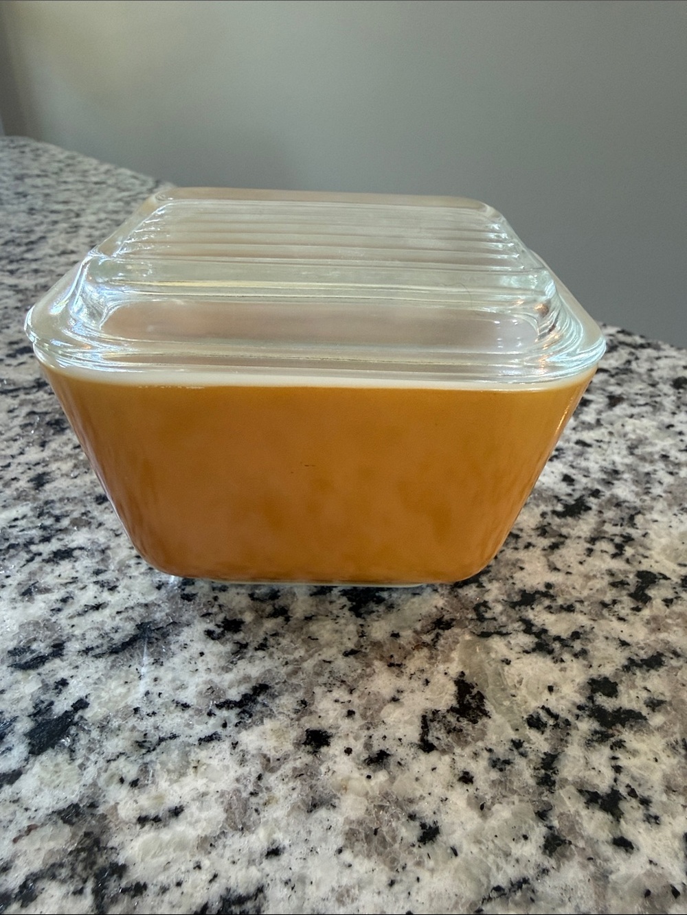 Vintage Pyrex Refrigerator Dish- Old Orchard